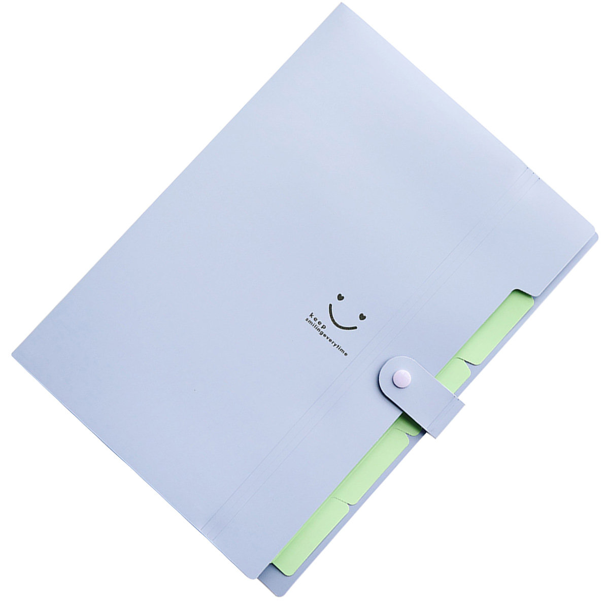 Cartella Espandibile in Plasti - Home Office Travel Document recensione e prezzo