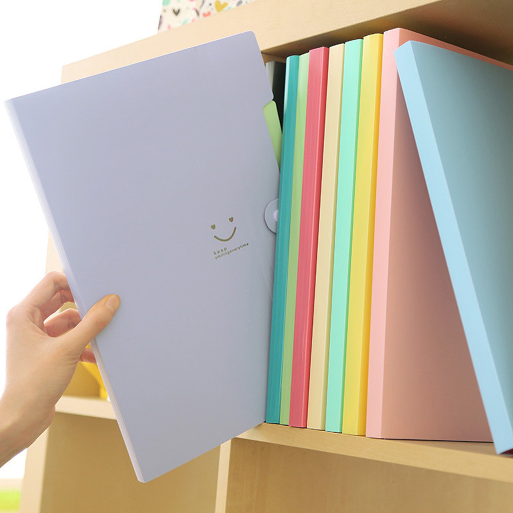 Cartella Espandibile in Plasti - Home Office Travel Document recensione e prezzo